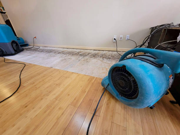 Professional Water Extraction technician working in Harrington, ME